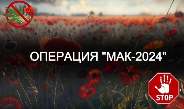 Операция &quot;МАК-2024&quot;.