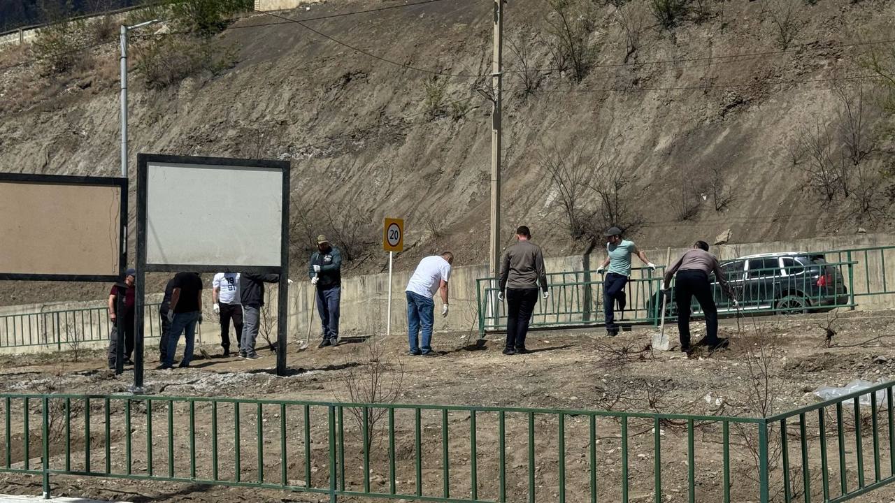 Сотрудники администрации Унцукульского района провели субботник и посадили деревья в Шамилькале..