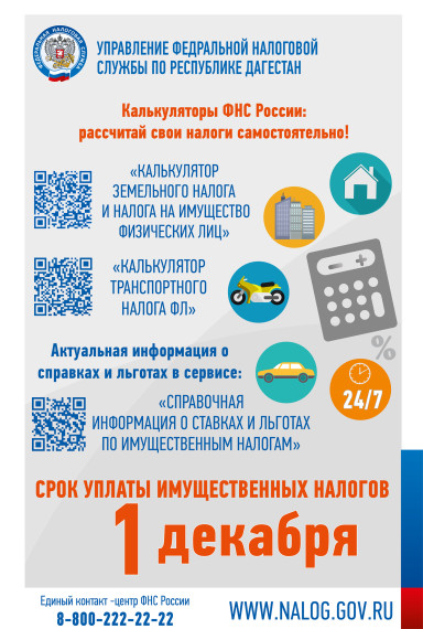 Сервисы ФНС. Сервисы ФНС.